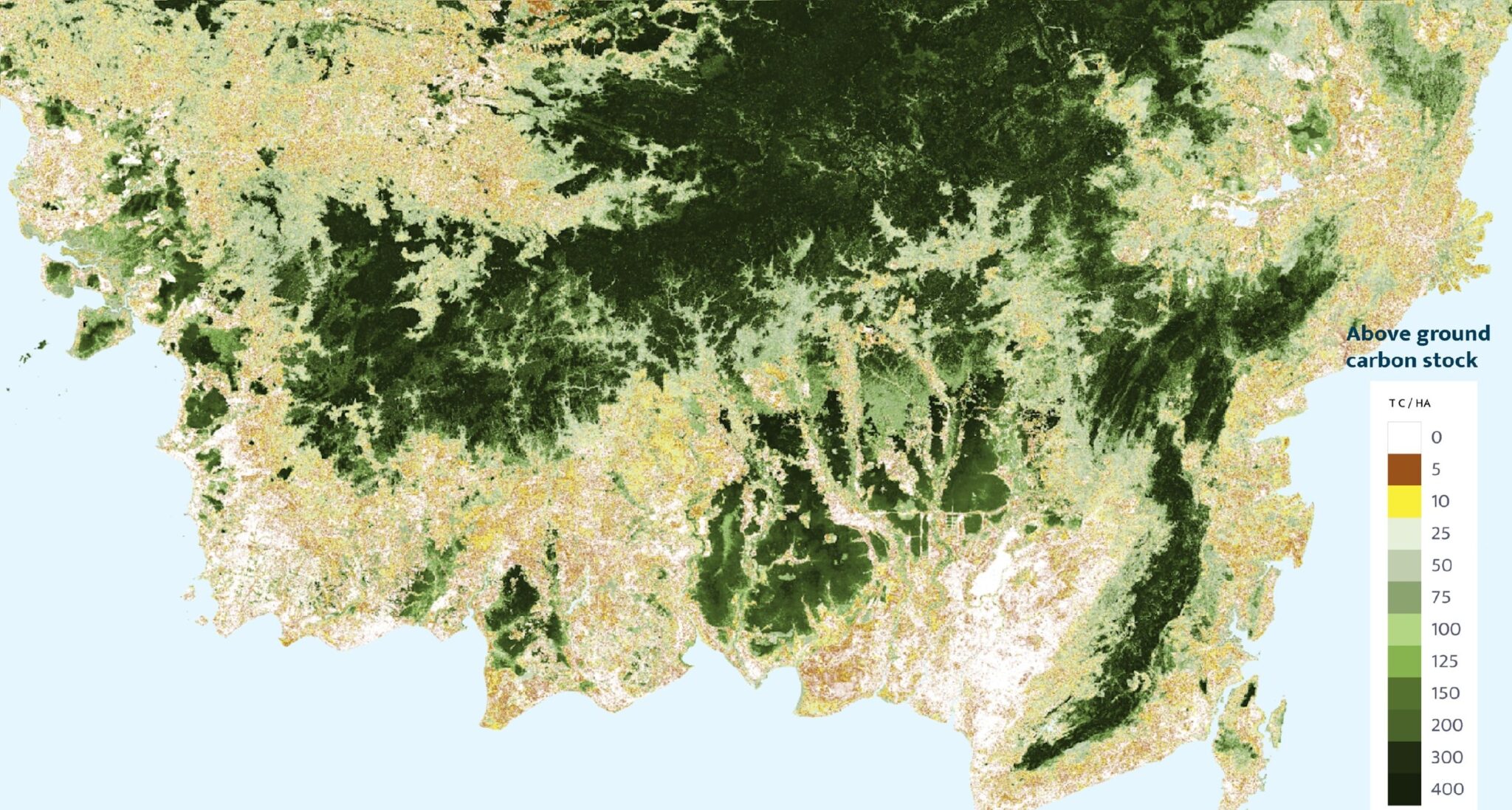 can-high-quality-carbon-save-the-offset-market-from-greenwashing