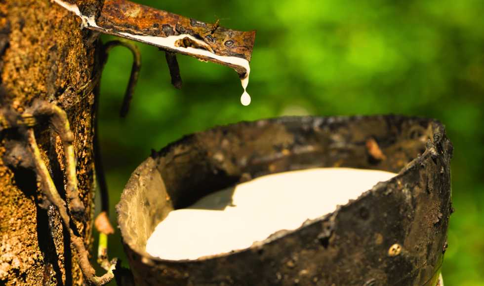 What is Sustainable Natural Rubber?