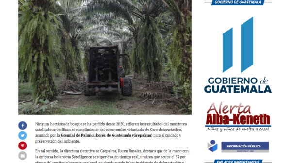 Grepalma+Article+