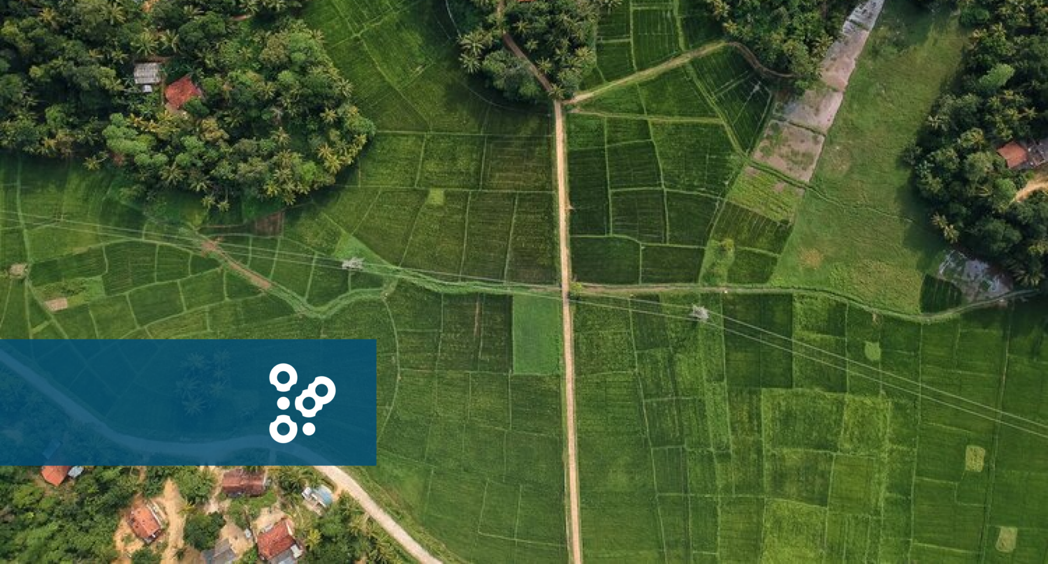 Towards deforestation free global commodity supply chains - Satelligence