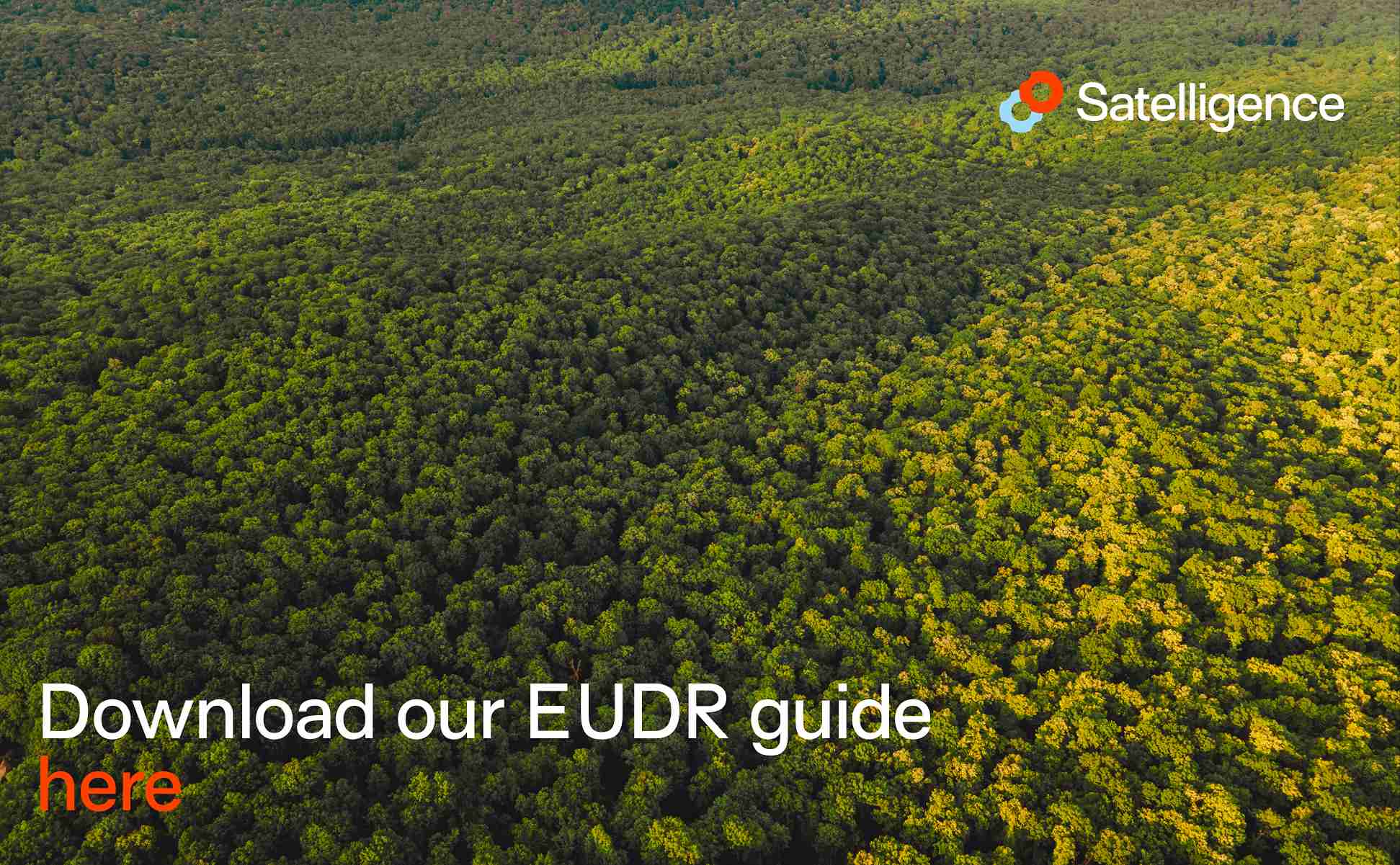 Satelligence EUDR Guide: A comprehensive tool for understanding and navigating the regulation on deforestation-free products
