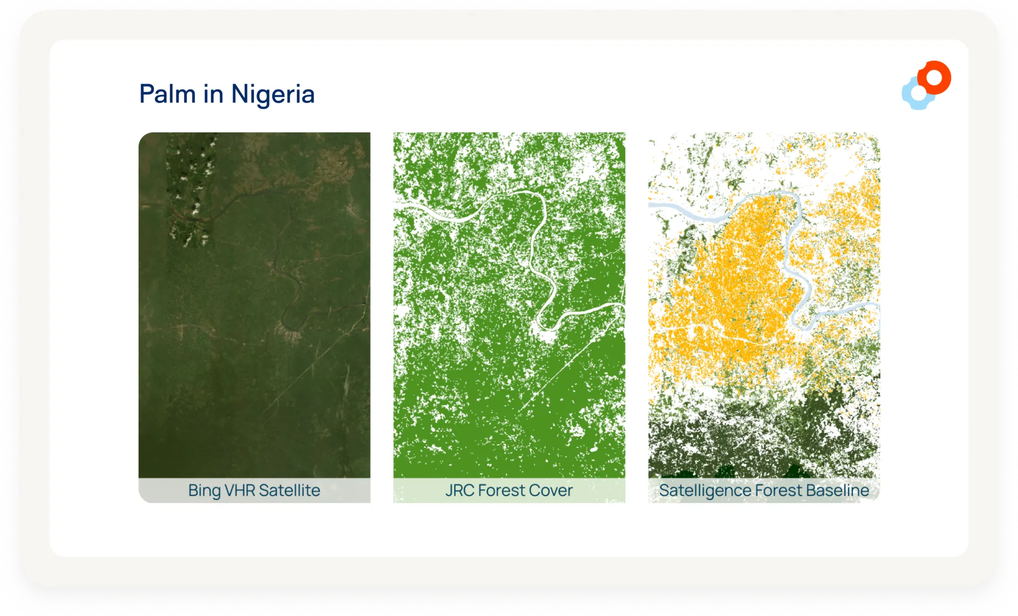 Palm in Nigeria