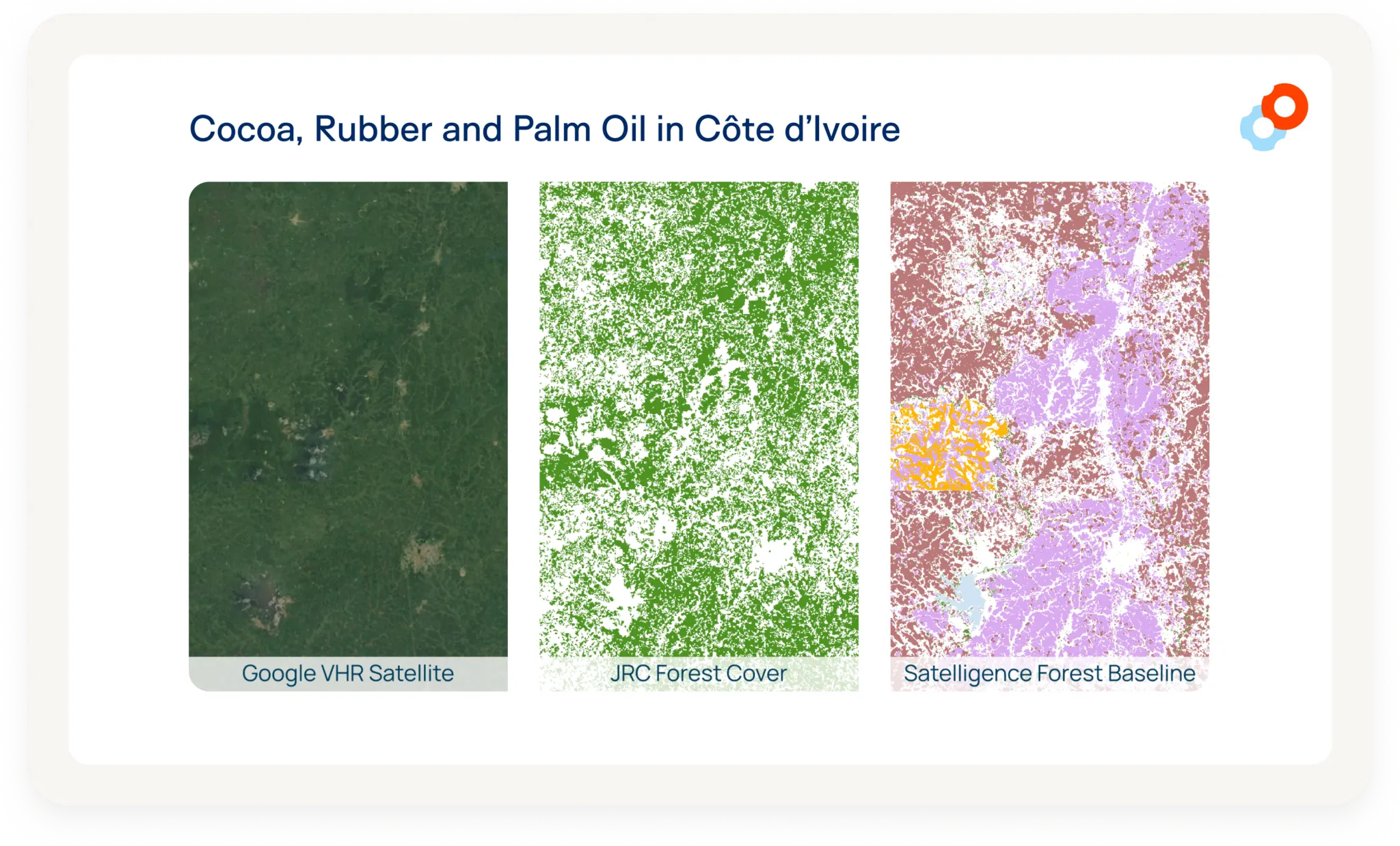 Cocoa, Rubber and Palm Oil in Cote D'Ivoire