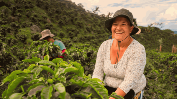 Photograph of a woman amidst greenery, reflecting the complexities of sustainable sourcing.