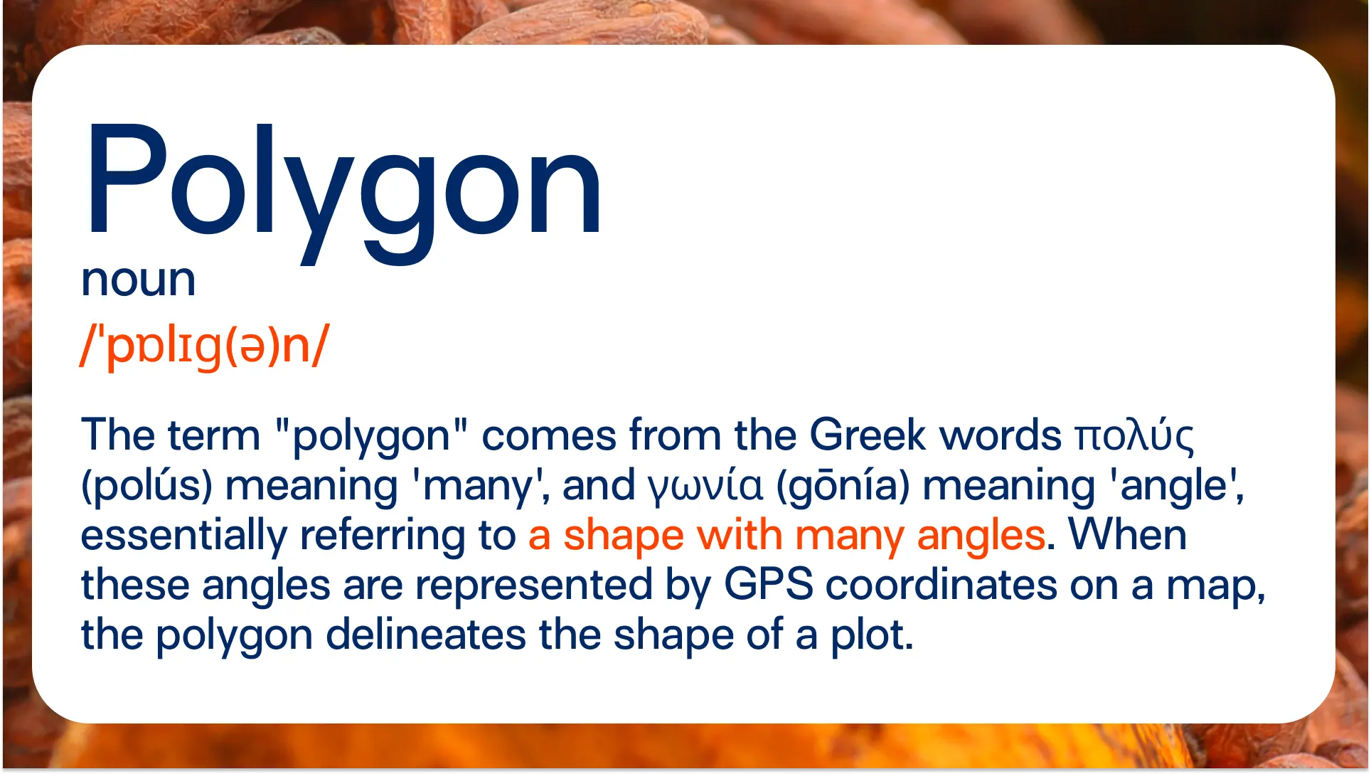 Slide-16_9-5 Definition of Polygon