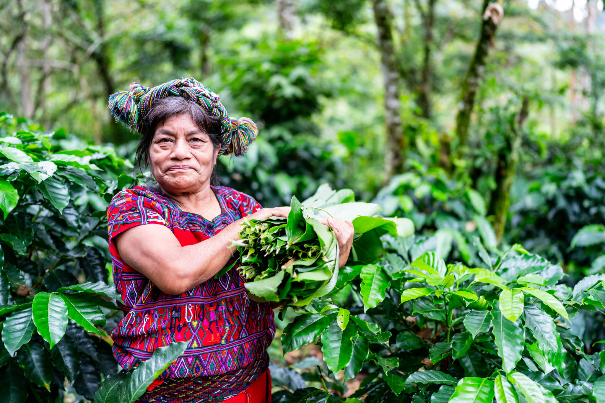Guatemala producer