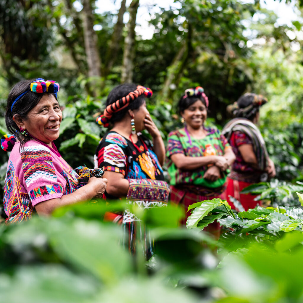 Chajuelense Cooperative workers in Guatemala