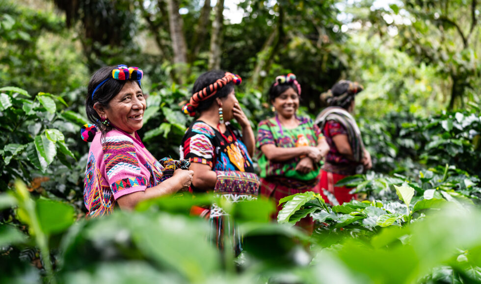 Chajuelense Cooperative workers in Guatemala