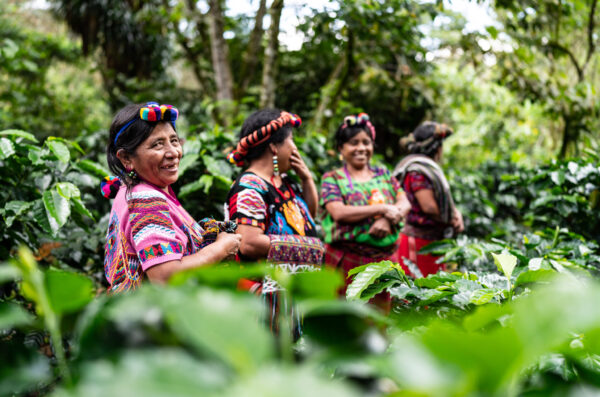 Chajuelense Cooperative workers in Guatemala