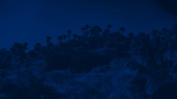 Forest Duotone