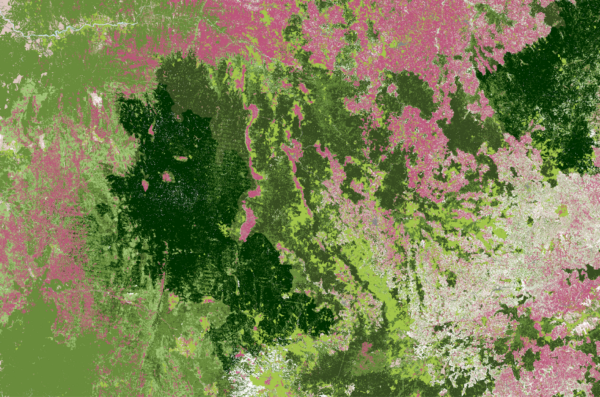 Satelligence coffee map - coffee one pager