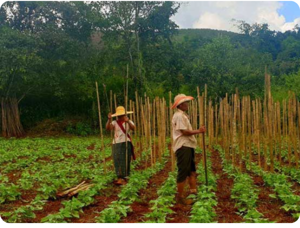 Untitled design (23)