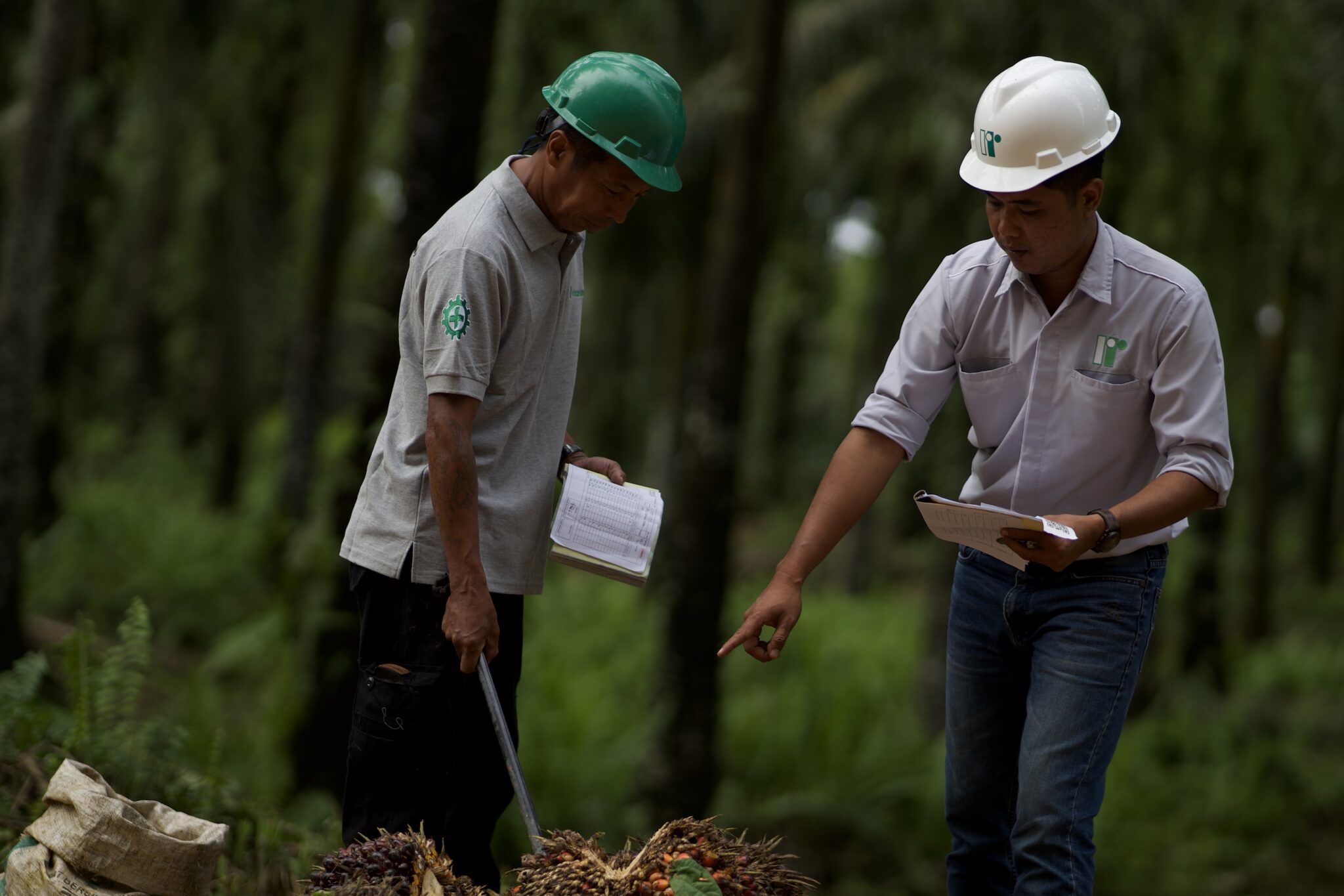 REA field teams REA field teams conducting fieldwork