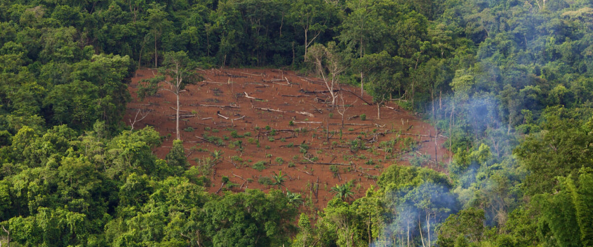 deforestation and conversion free deforestation and conversion free