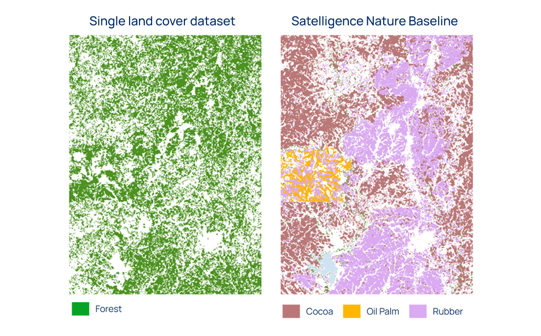 Comparison single dataset vs Satelligence Nature Baseline