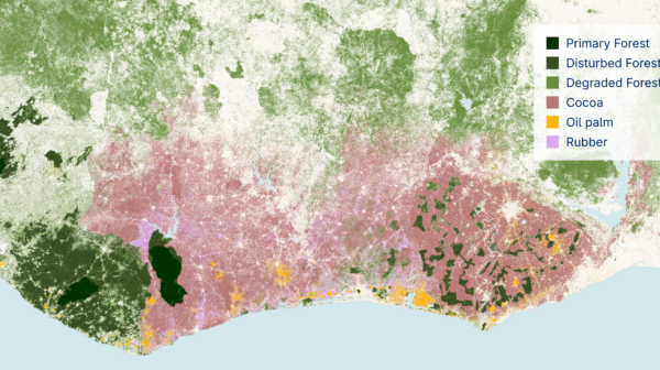Satelligence Forest Baseline Cote d'Ivoire
