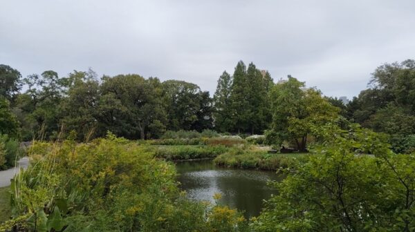 NYCW New York nature