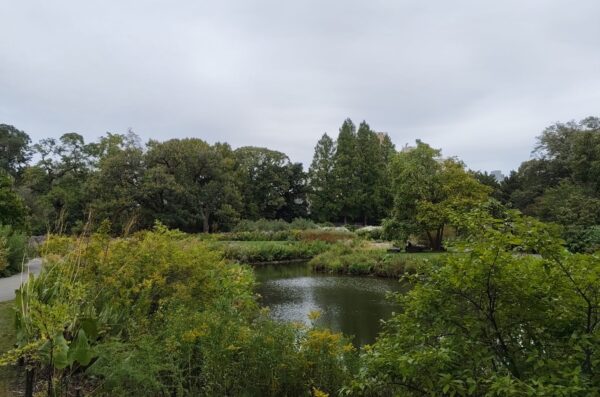 NYCW New York nature
